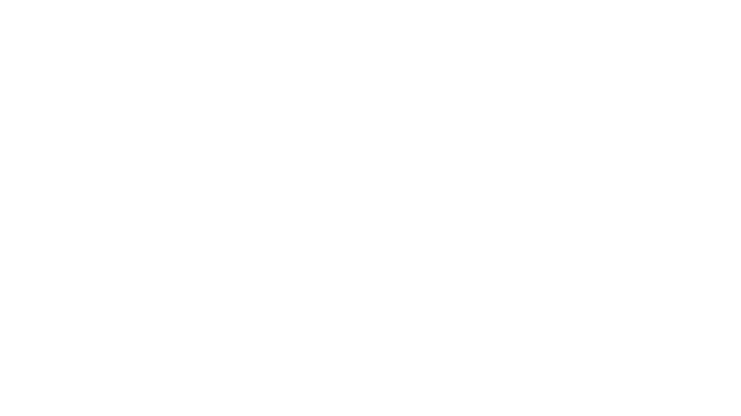 Dragon Racing